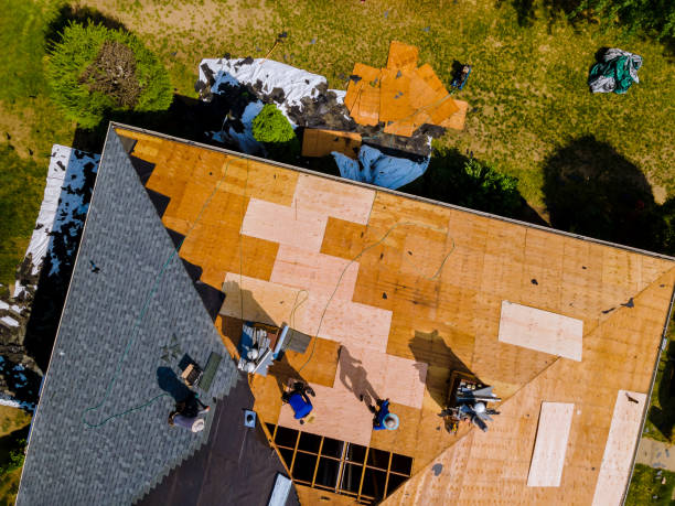 Roof Gutter Cleaning in Parma, ID